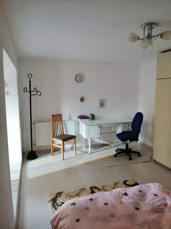 Moss'S Economy Apartment Timişoara Exterior foto